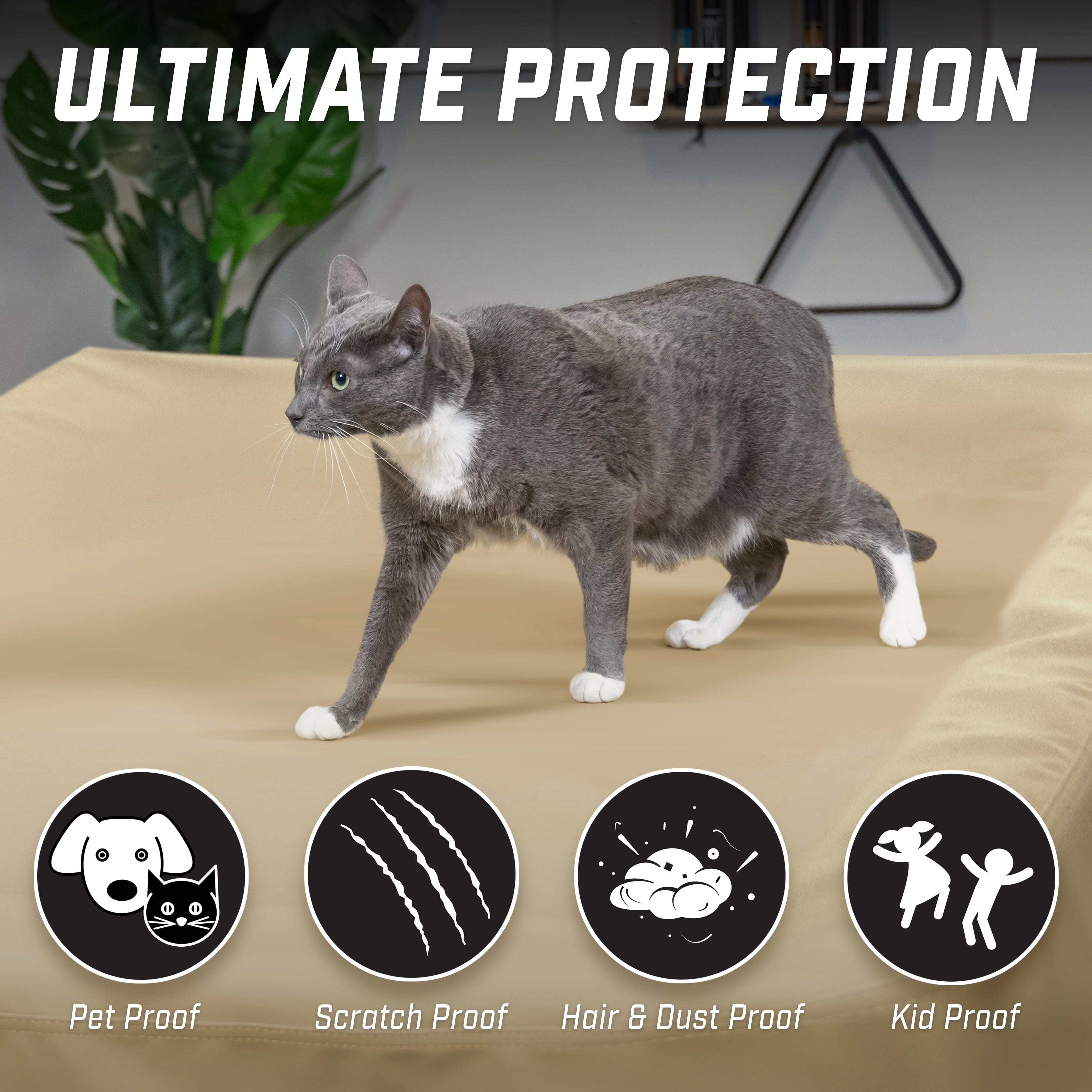 a cat walking on a couch with a lot of buttons