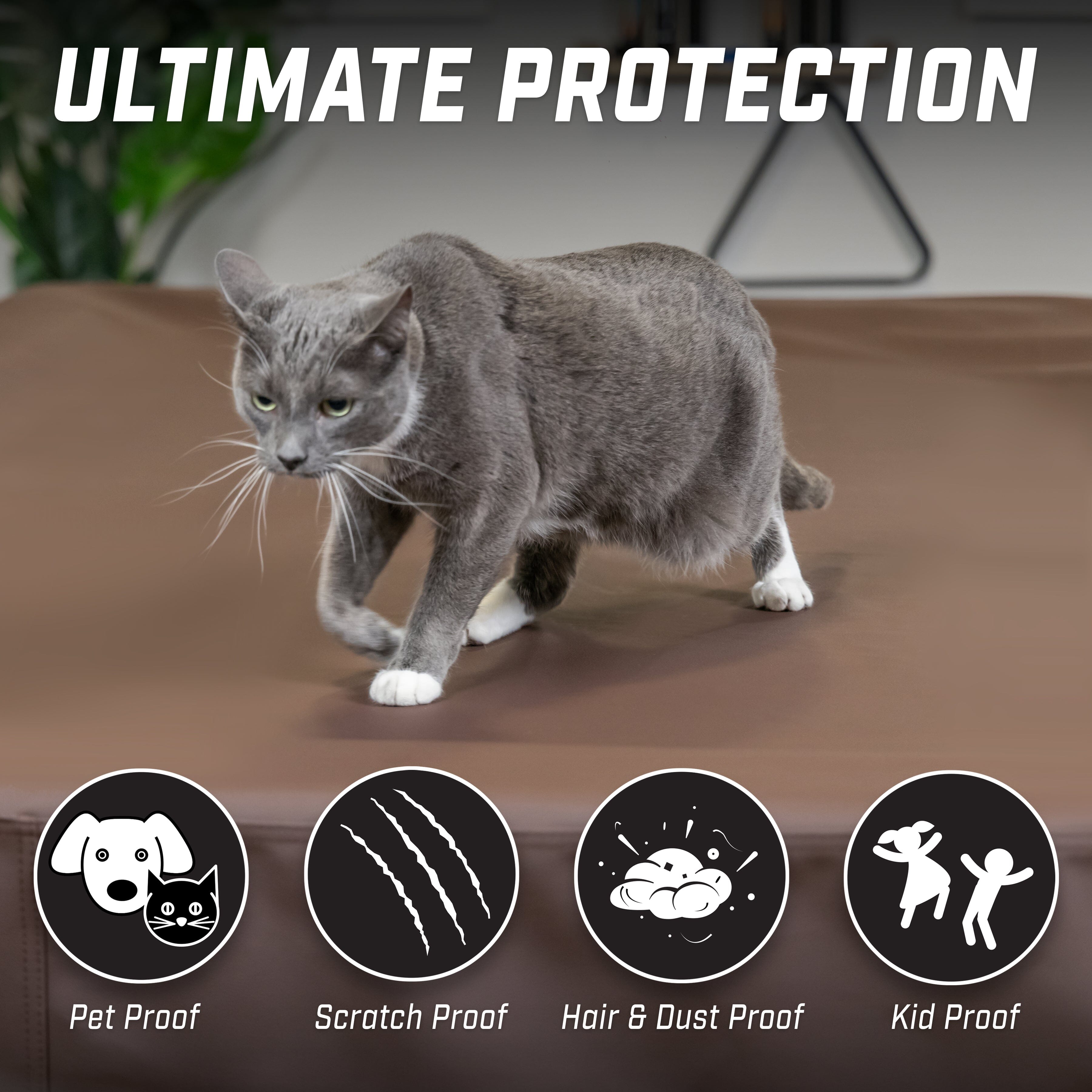 a cat walking on a couch with a remote control button