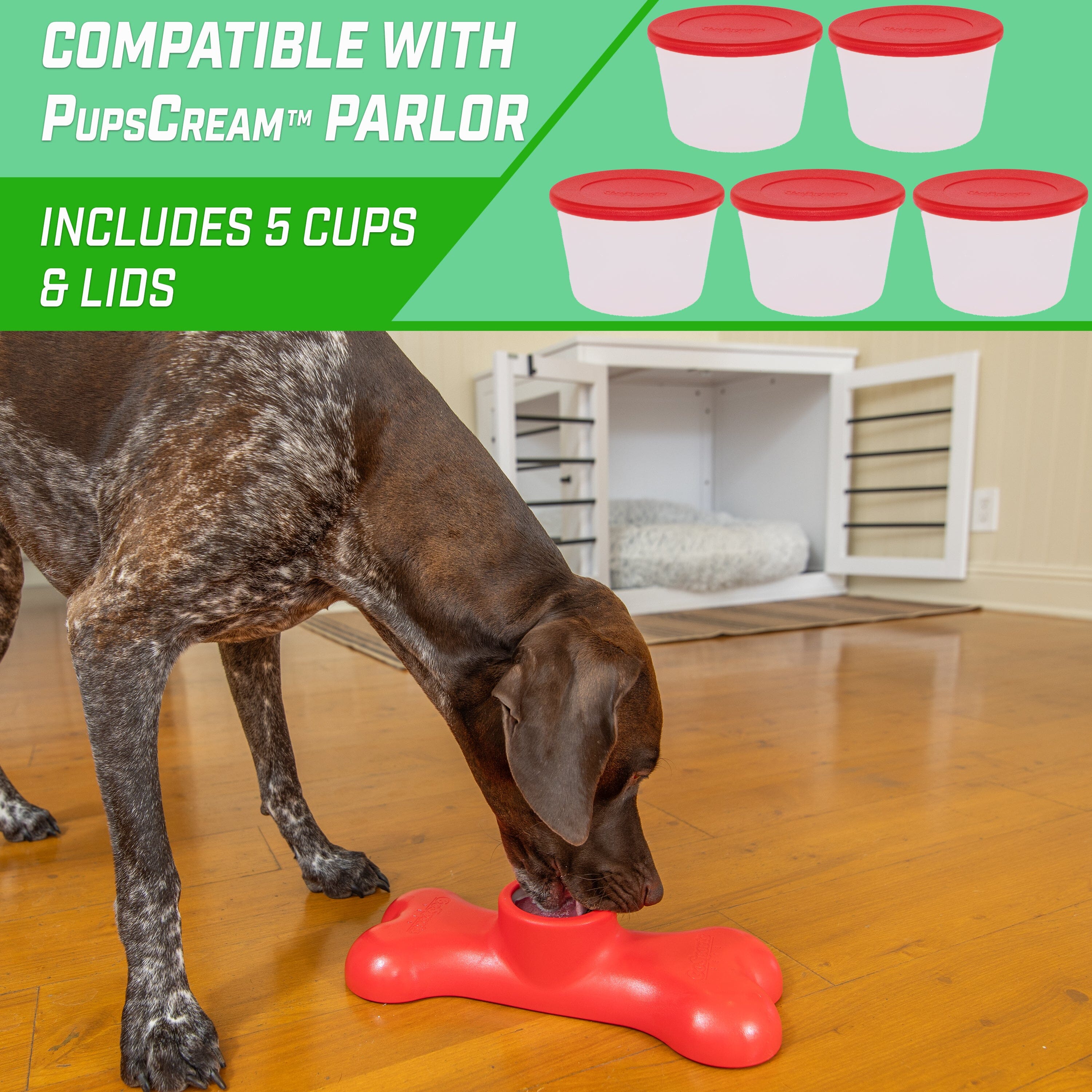 a dog is sniffing a red toy