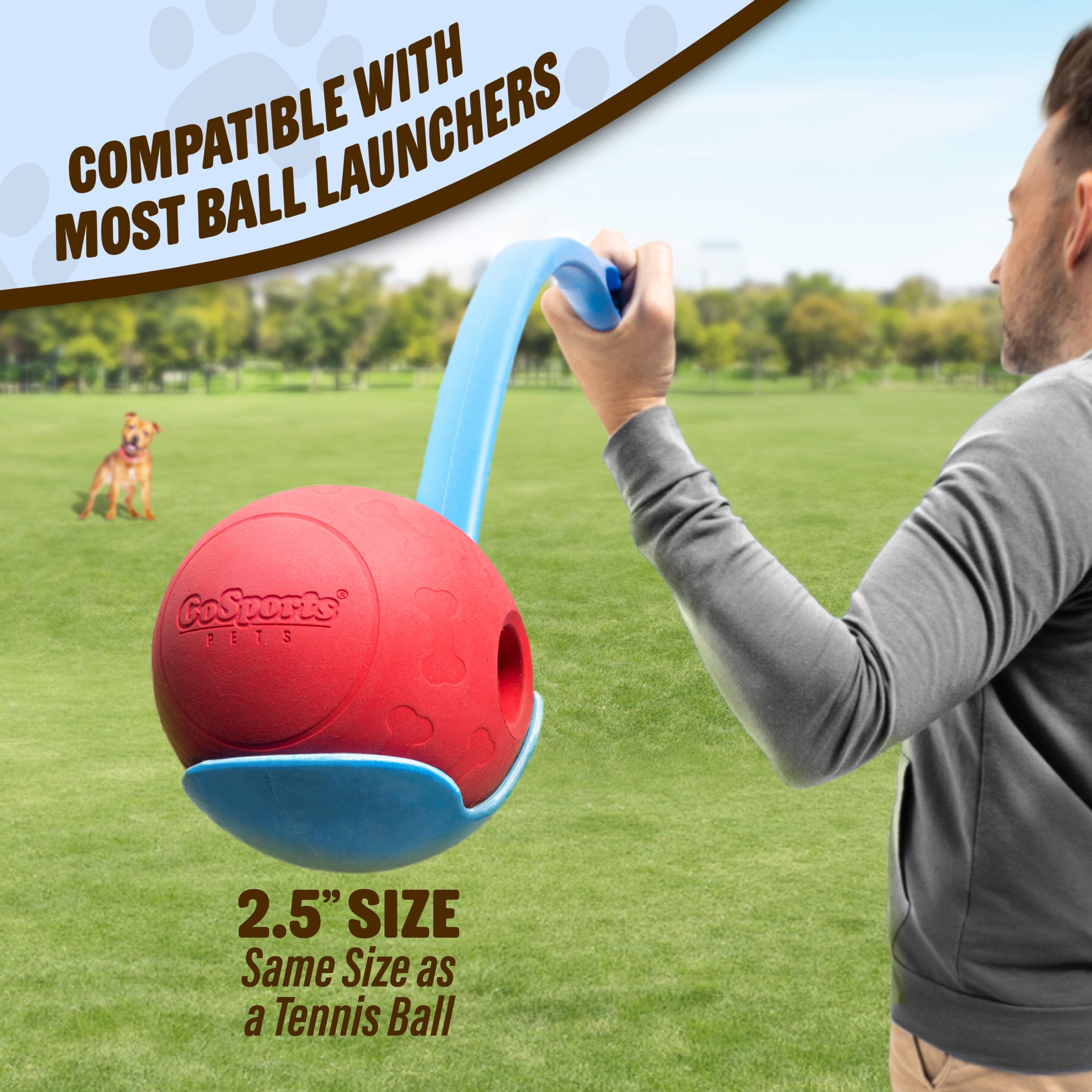 GoSports Pets Solid Rubber Dog Balls - Heavy Duty for Aggressive Chewers - 3 Pack, 2.5 Inch GoSports