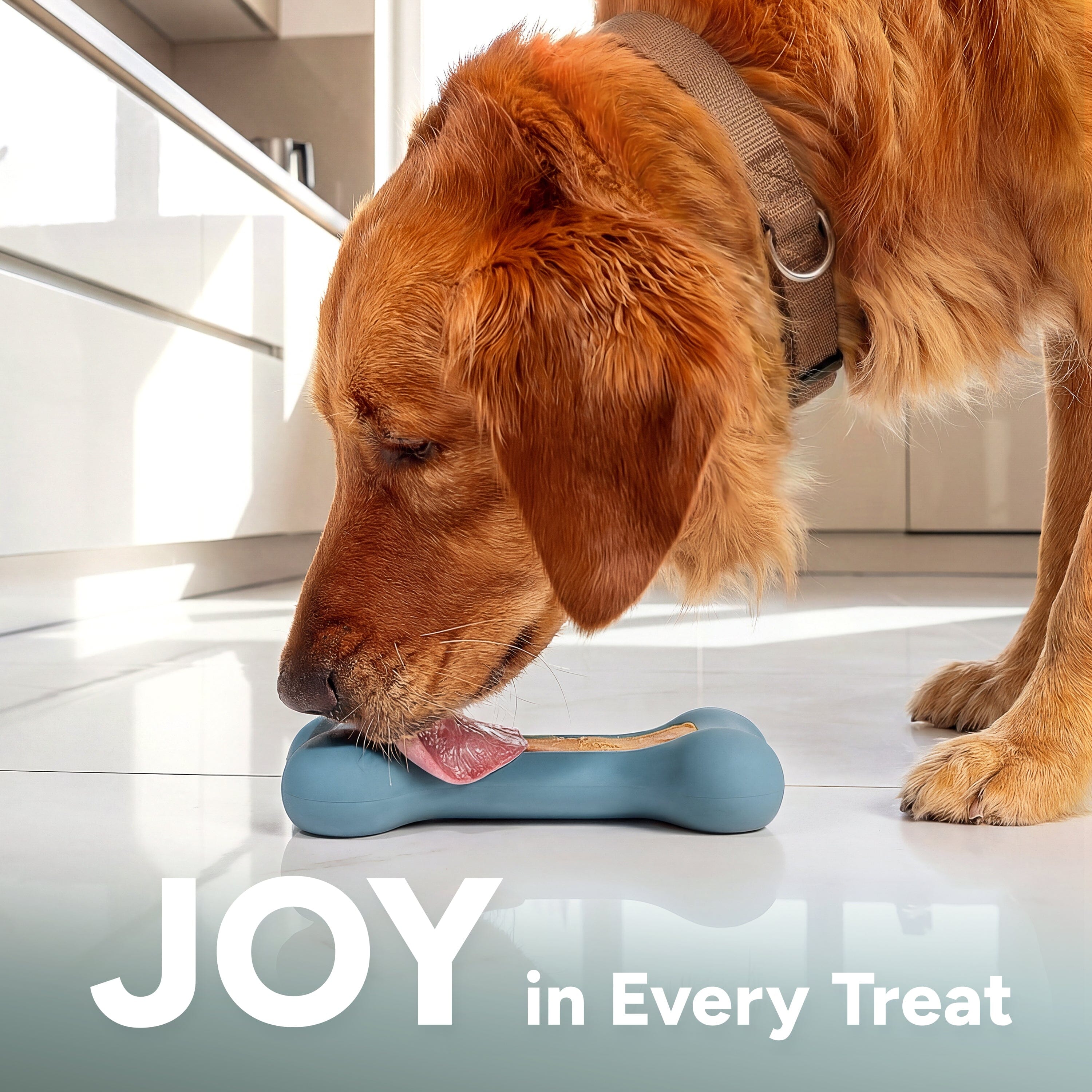 GoSports Pets PupsCream Frozen Dog Treat Holder - Dog Enrichment Fill and Freeze Bone Station - Helps Keep Dogs Busy - Blue Playgosports.com