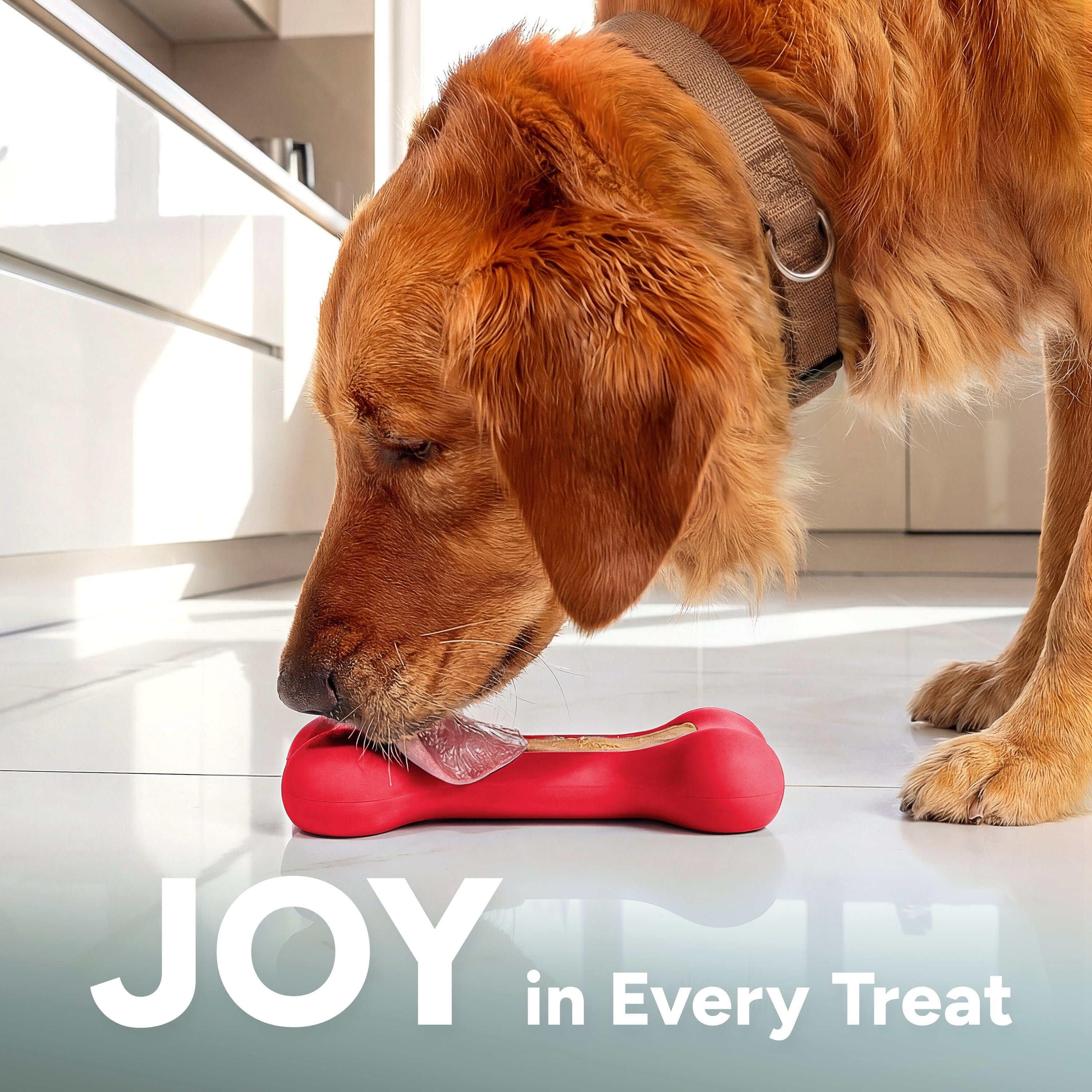 GoSports Pets PupsCream Freezable Dog Treat Station - Small or Large - Helps Keep Dogs Busy GoSports