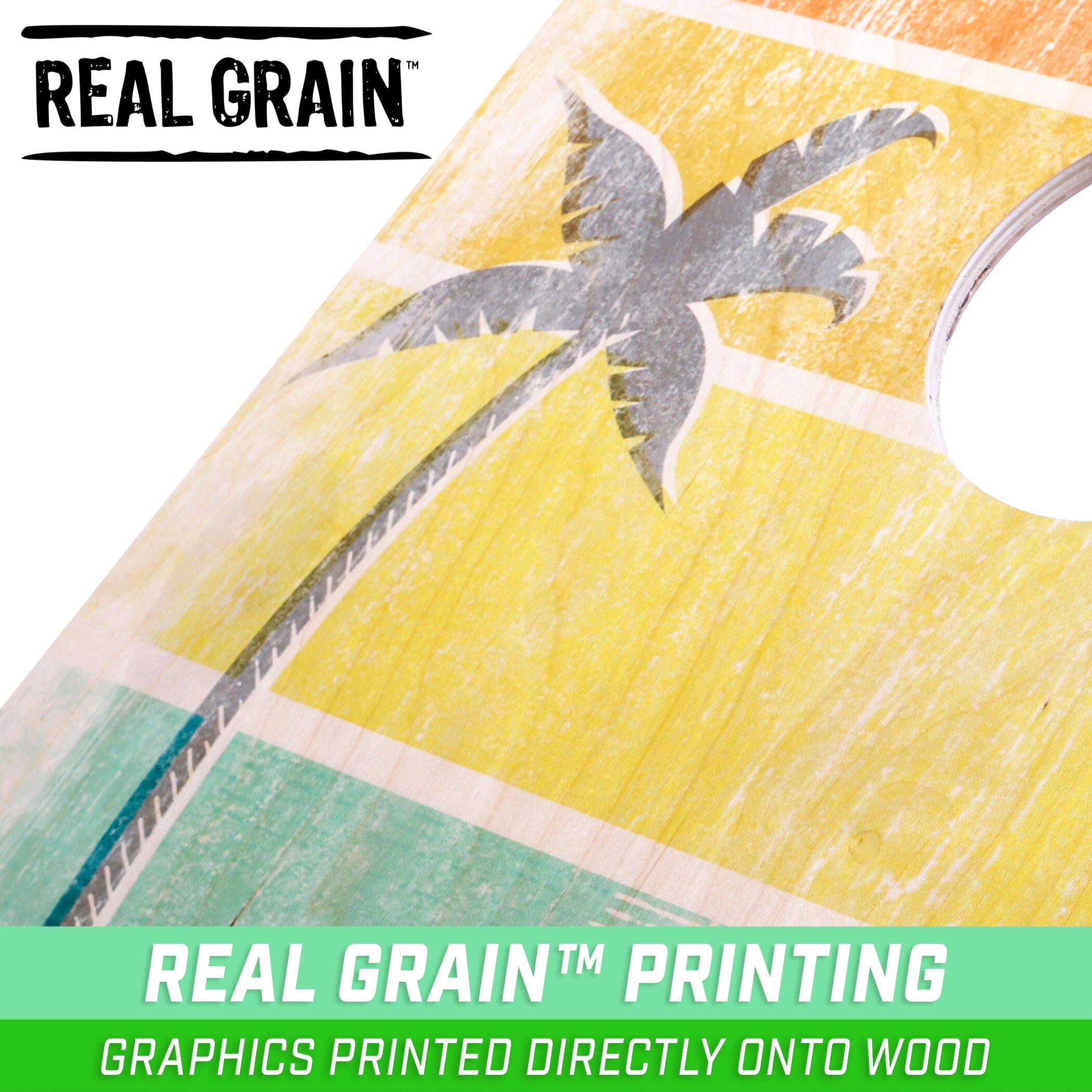 realcan palm tree palm tree palm tree palm tree palm tree palm tree palm tree palm tree palm