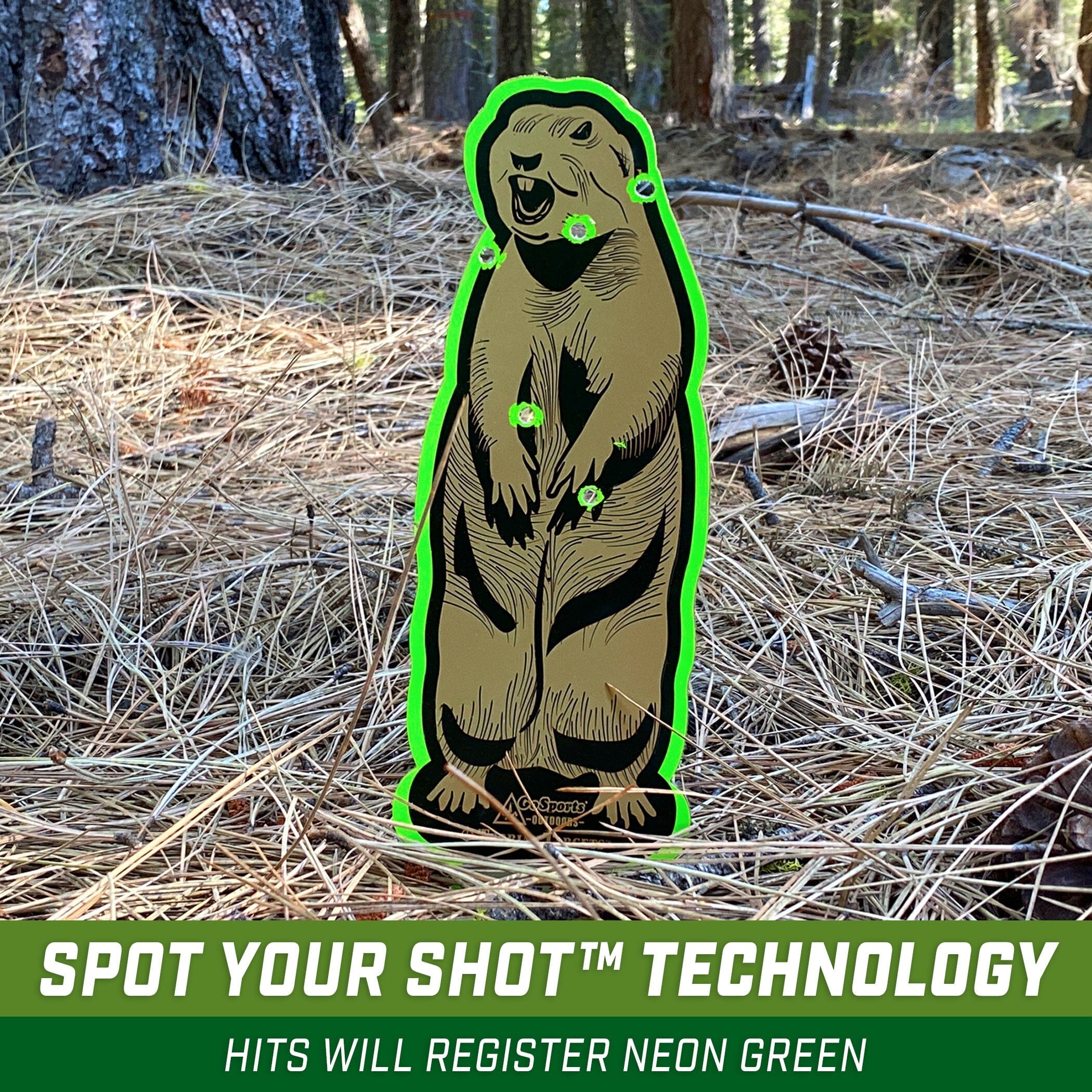 GoSports Outdoors Gopher Terrain Targets | Reactive Shooting Range Targets GoSportsOutdoors.com 