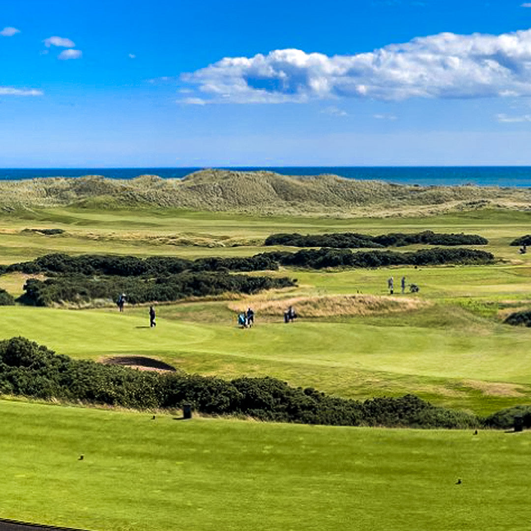 Golf course with players on a green field overlooking the ocean under a blue sky.