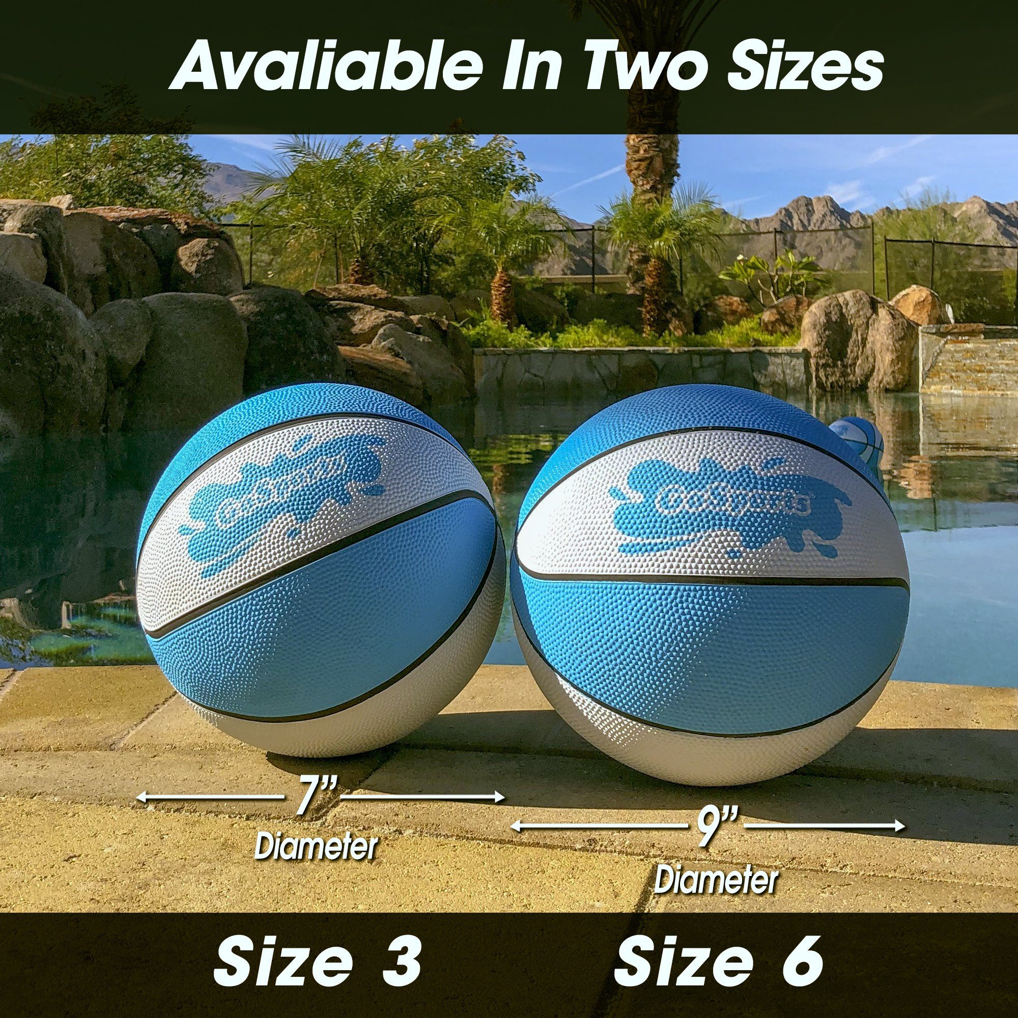 two basketball balls sitting next to a pool