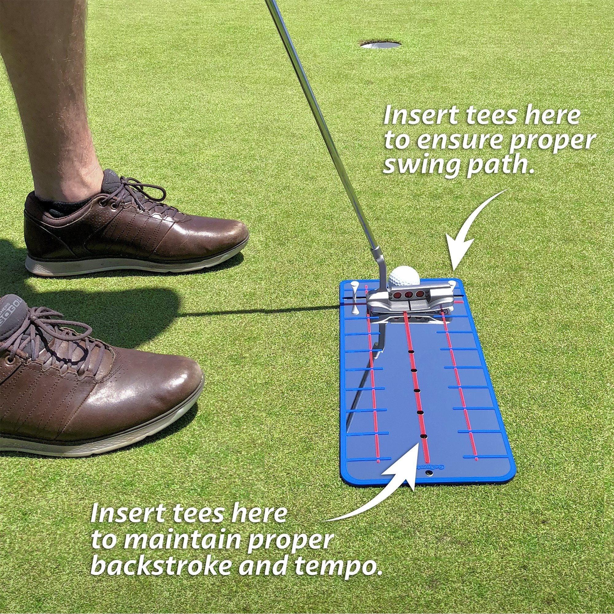 a man is putting a golf ball on the green