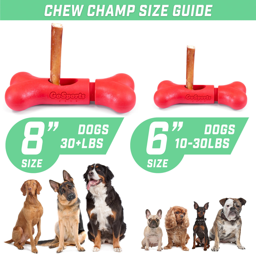 GoSports Chew Champ Bully Stick Holder for Dogs - Securely Holds Bully Sticks to Help Prevent Choking - 8" Size playgosports.com 