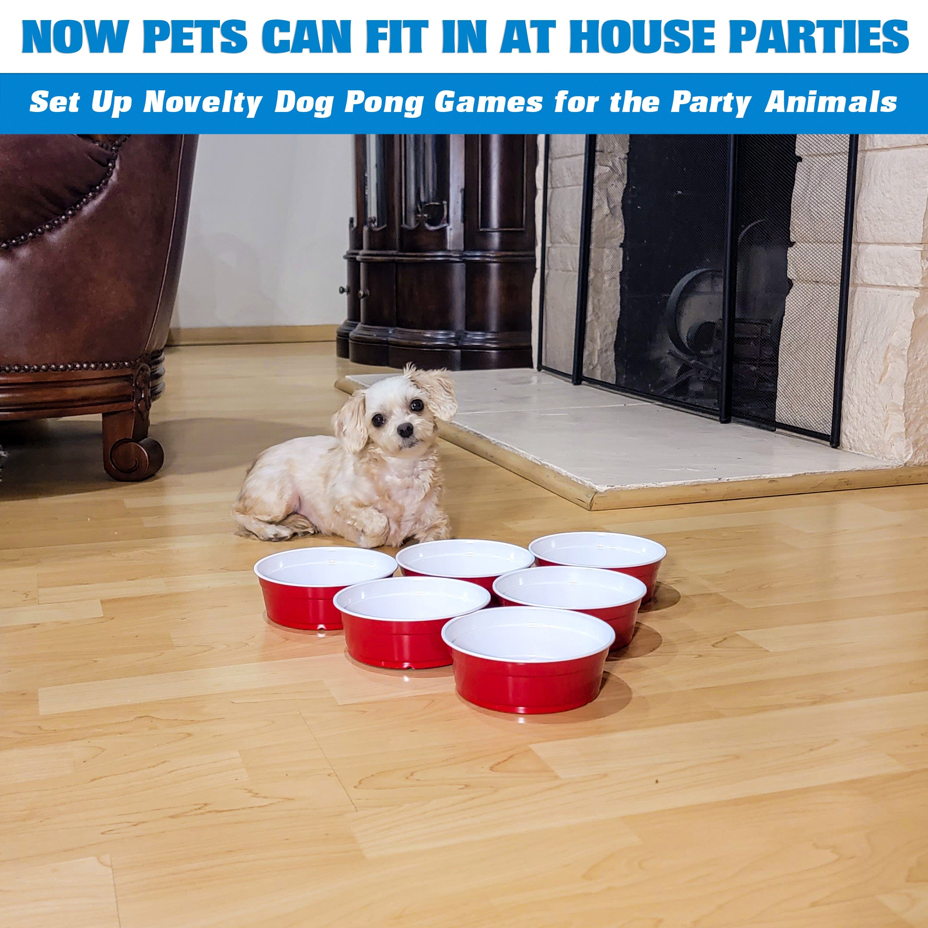 a dog sitting on the floor with bowls of food