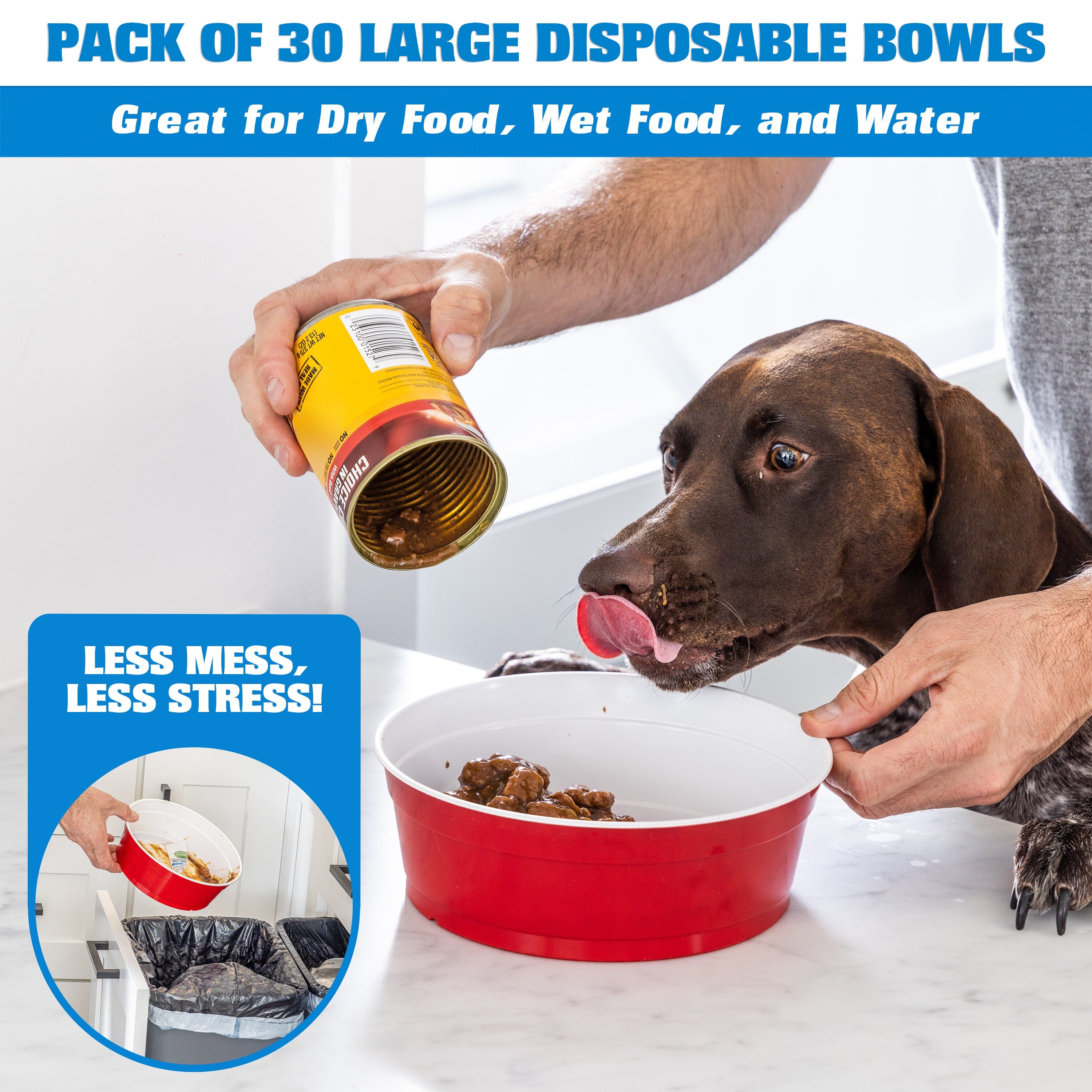 Party Dog Disposable Red Cup Style Pet Food Bowls for Cats and