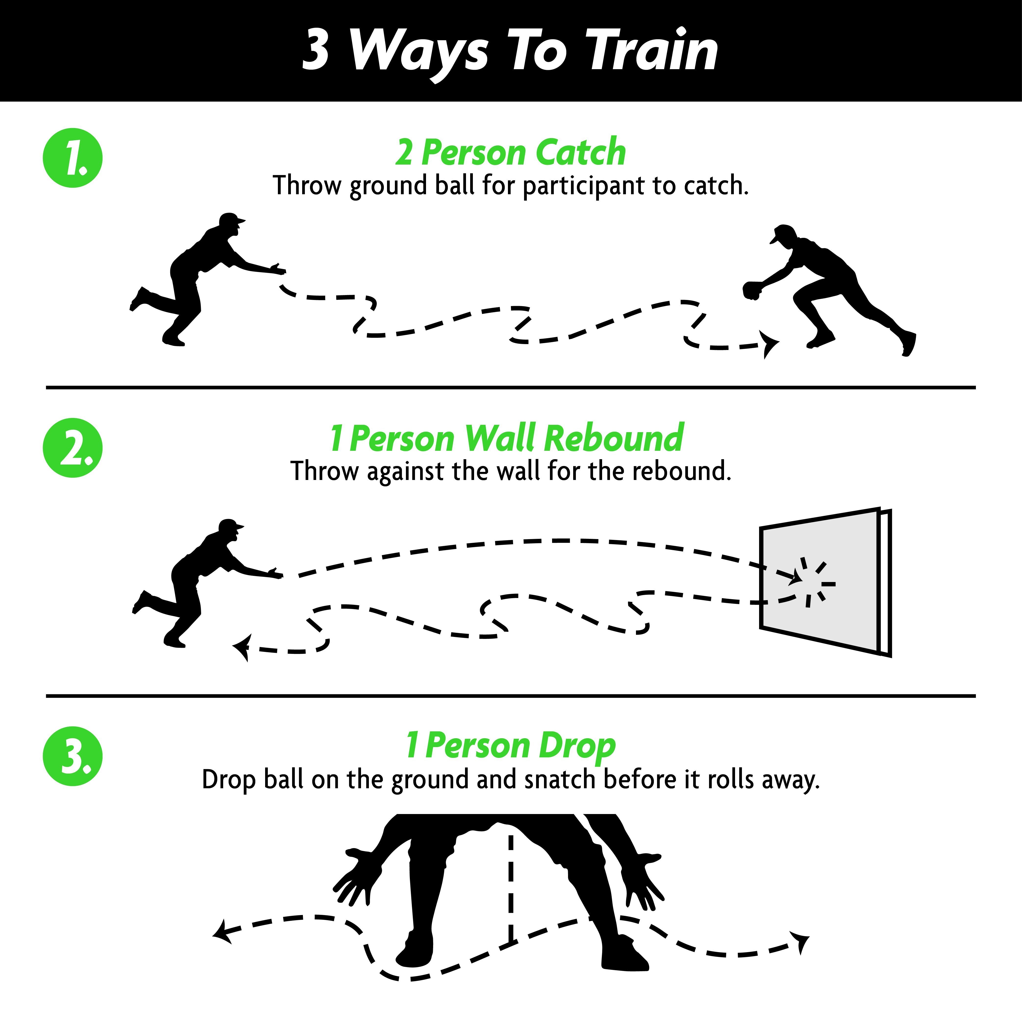 3 ways to train your dog