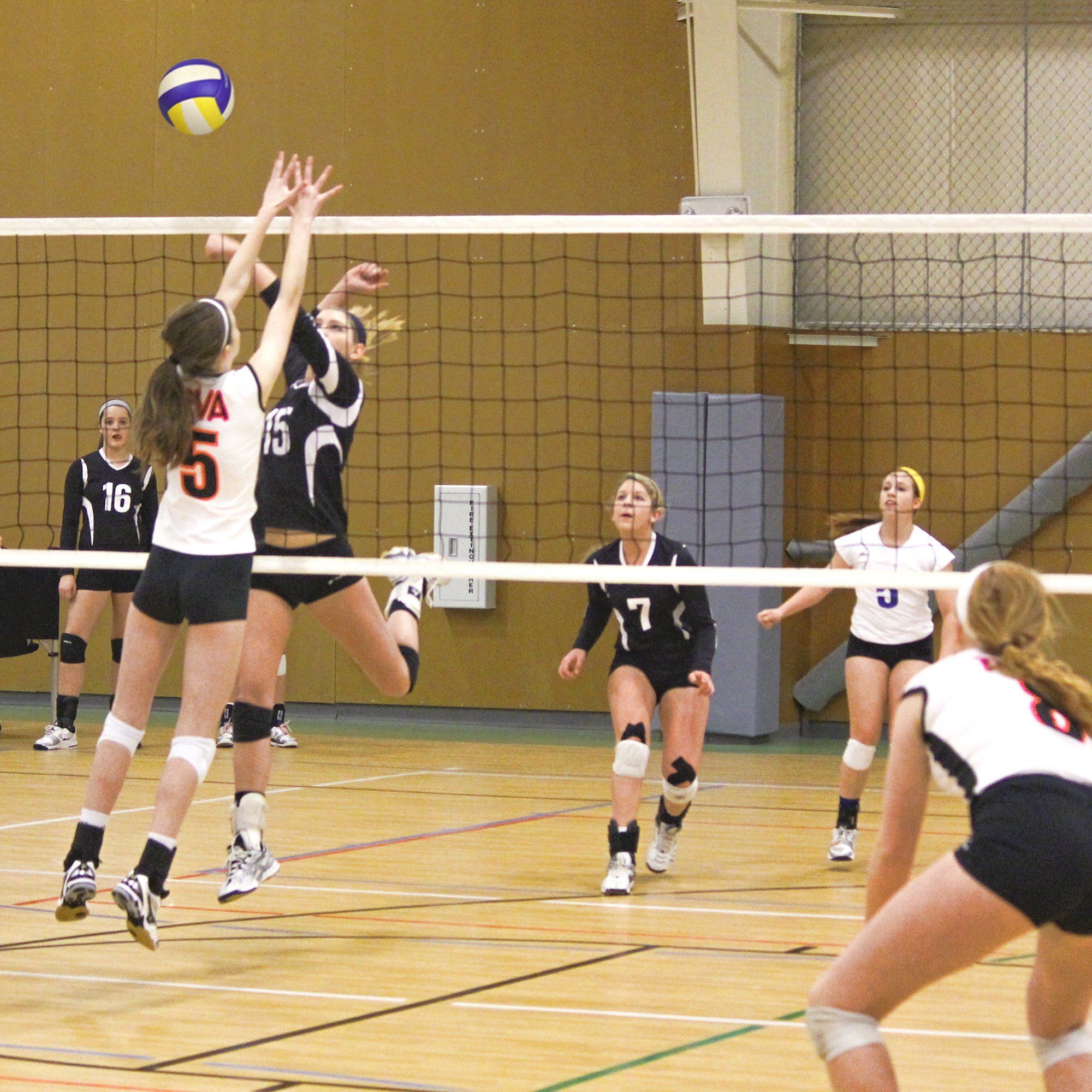 a group of women playing a game of volleyball